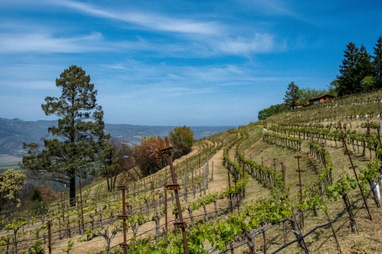 Top Wine Country Hotels & Activities: Napa & Sonoma Valley